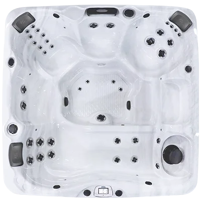 Avalon-X EC-840LX hot tubs for sale in Sarasota