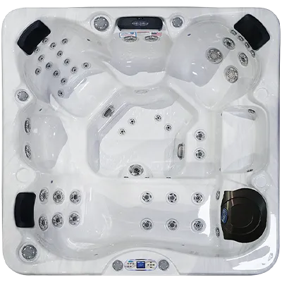 Avalon EC-849L hot tubs for sale in Sarasota