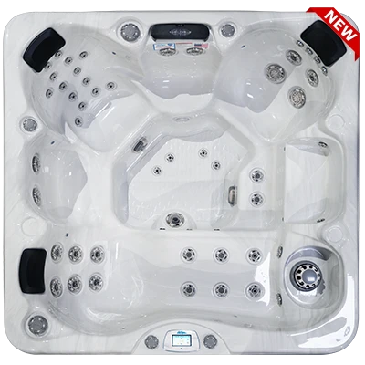 Avalon-X EC-849LX hot tubs for sale in Sarasota