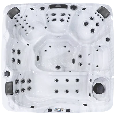 Avalon EC-867L hot tubs for sale in Sarasota