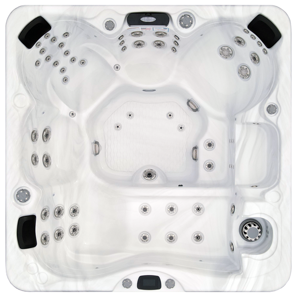 Avalon-X EC-867LX hot tubs for sale in Sarasota